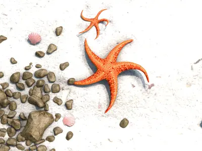 Starfish Two 3D model