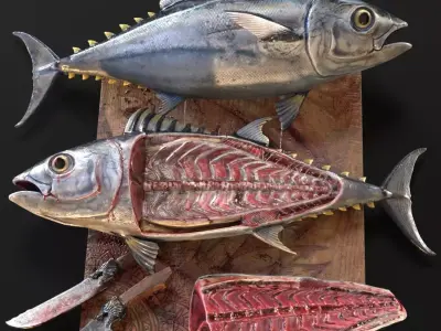 Butchered fish MEGASET 4 models 5 texture variations Low-poly 3D model