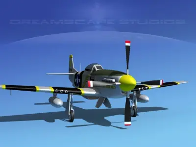 P-51D Mustang The Flying Undertaker 3D model