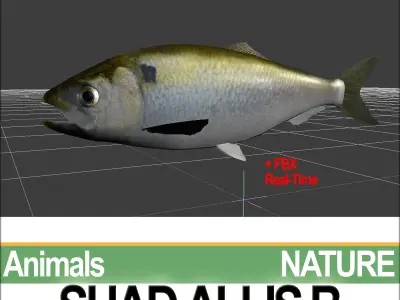 Allis Shad B 3D model