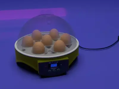 Incubator egg 3D model