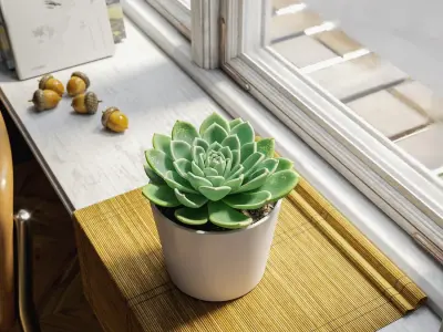  Echeveria Succulent Potted Plant Model, Green 