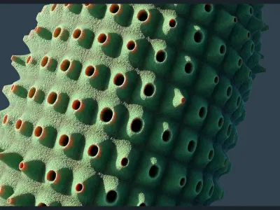 Coralizer Procedural Material Texture