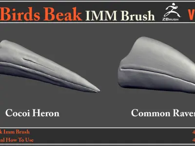 40 Birds Beak IMM Brush - Video How To Use 3D model