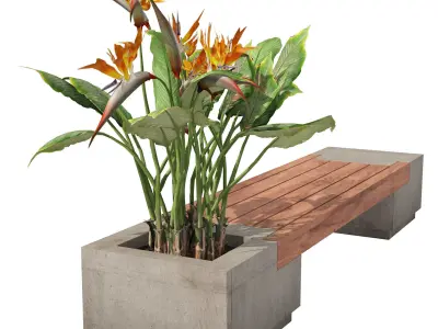 Outdoor bench with Bird Of Paradise flower Low-poly 3D model