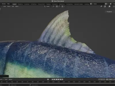 Tuna Fish Low-poly 3D model