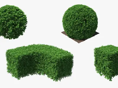 Decorative Shrubs Collection 3D model
