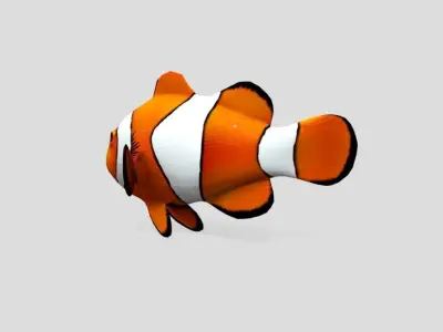 Clownfish Realistic Animated Low-poly 3D model