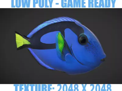 Fish Paracanthurus hepatus 1 Low-poly 3D model