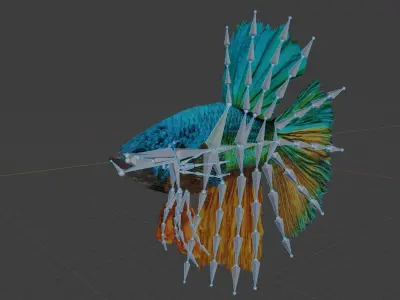 betta splendens Low-poly 3D model