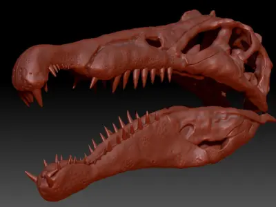 Dinosaur Spinosaurus Skull Set 3D model
