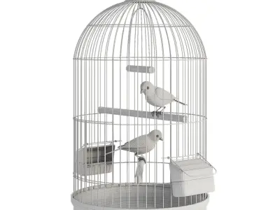 Canaries in a cage 3D model