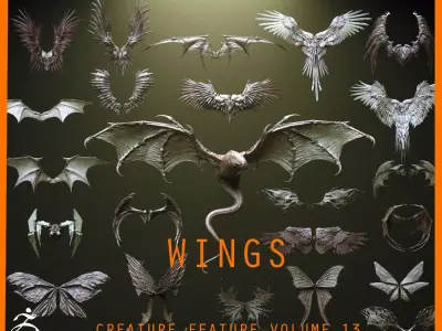 WINGS - 33 CREATURES MESHES 3D model