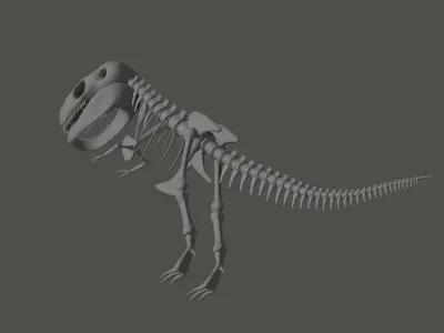 Tyrannosaurus Rex Fossil 3D model