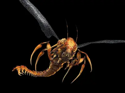 Flying Bug 10 Low-poly 3D model