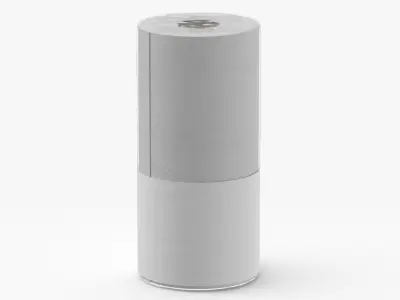 Paper Towels Single Blank and Generic Label 3D model