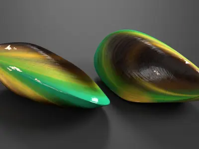 Closed Green Lipped Mussel Shell 3D model