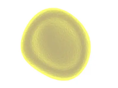 Spider Blood Cell 3D model