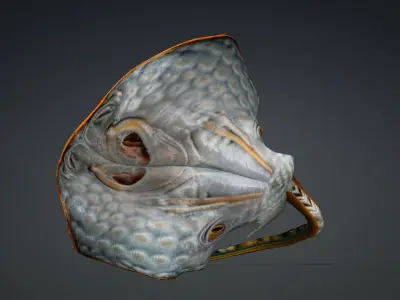 Ray Fish-A2 3D model