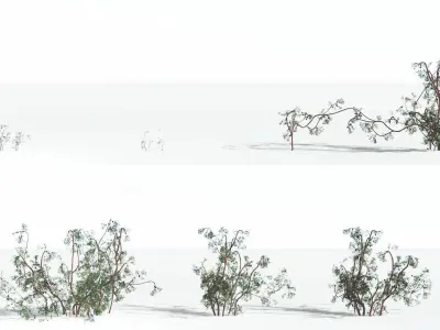 EVERYPlant Baiera 3 --14 Models-- 3D model