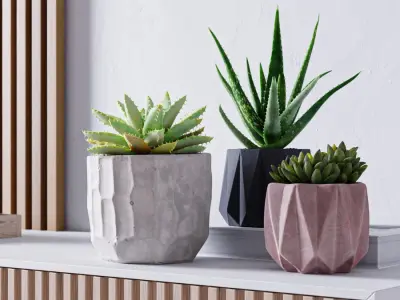  Small Geometric Planter Models 