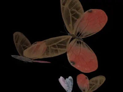 Butterflies Animated  3D model