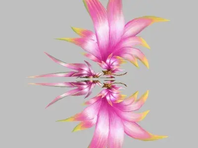 Pink Wing Low-poly 3D model