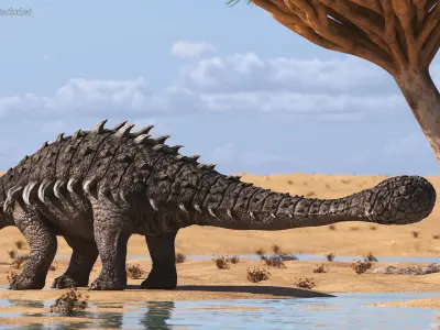 Ankylosaurus from Desert Habitats Rigged for Maya 3D model