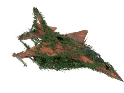 Damaged Rusted Jet 3D model