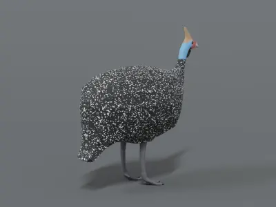 Low Poly Cartoon Helmeted Guineafowl Low-poly 3D model