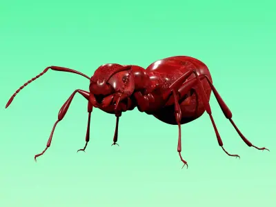 Red Ant Rig Low-poly 3D model