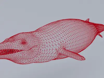 Basilosaurus  Low-poly 3D model