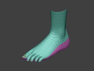 realistic female foot Low-poly 3D model