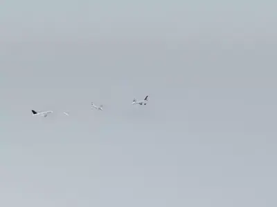 A380 landing at Heathrow Free 3D model