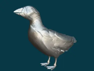 Atlantic Puffin Seabird Low-poly 3D model