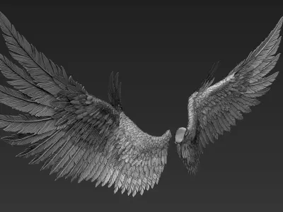 Wings Realistic pair of colorful feathered 3D model