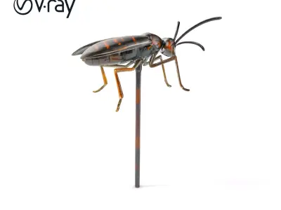 Realistic Insect Model Pack for Game and Film Production Low-poly 3D model