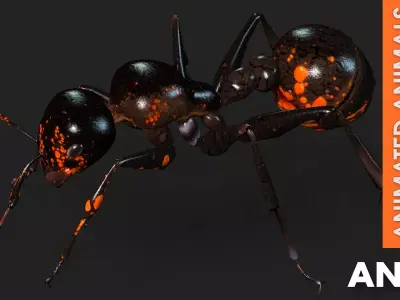 Ant A2 Free 3D model