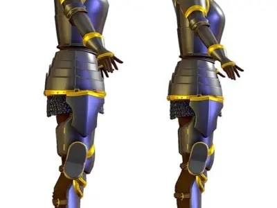 Subdivision 3D Women The Grey Knight Low-poly 3D model