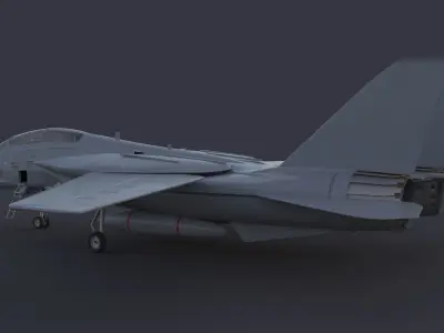 F 14 Tomcat 3D model