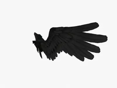 Angel Wings Black - Low poly Low-poly 3D model
