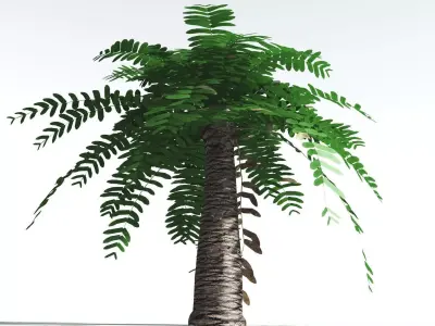 EVERYPlant Pseudoctnis Cycad LowPoly 2 --12 Models-- Low-poly 3D model
