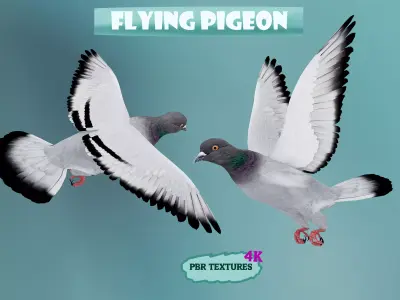 Realistic flying Pigeon - LOOP FLIGHT animations Low-poly 3D model