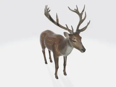 A brown deer with large antlers 3D model