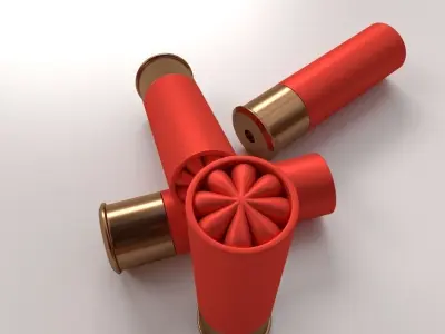 Shotgun Shells 3D model