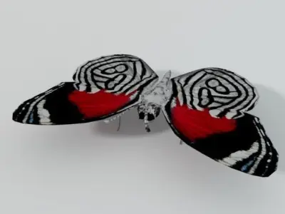 Butterfly 89 Low-poly 3D model