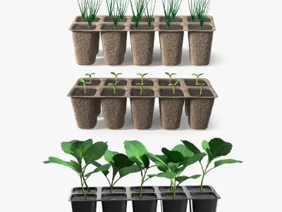 Seedling Collection 3D model