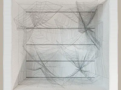 Spiderweb for shelves 3D model