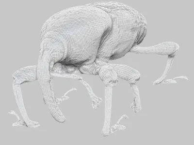 Insect Collection Vol 2 Low-poly 3D model