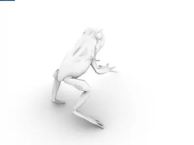 Frog Grenouille Crapaud 3D model